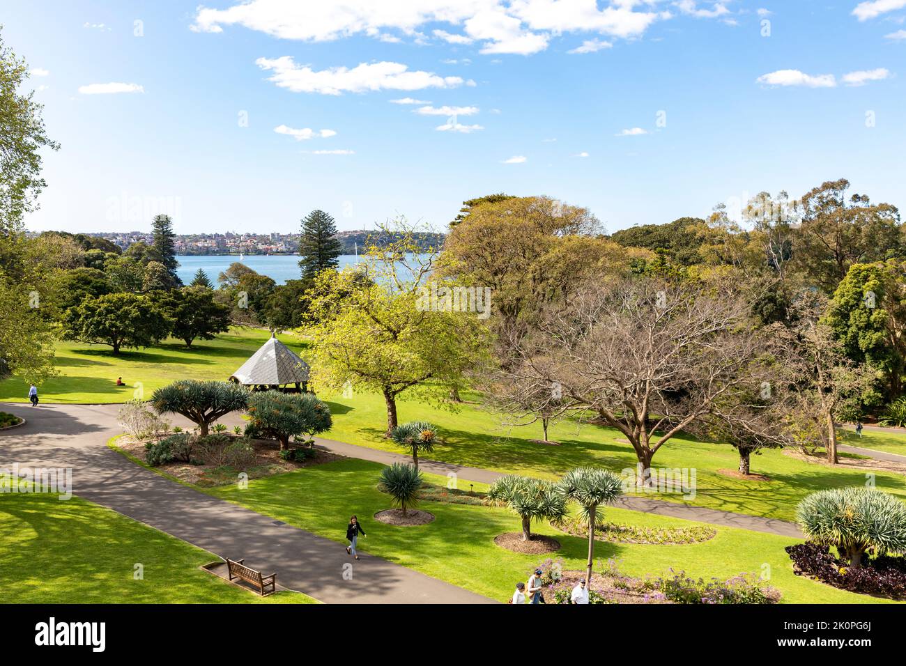 Royal Botanic Garden a Sydney in un giorno di primavera nel 2022, porto di Sydney in lontananza, NSW, Australia Foto Stock