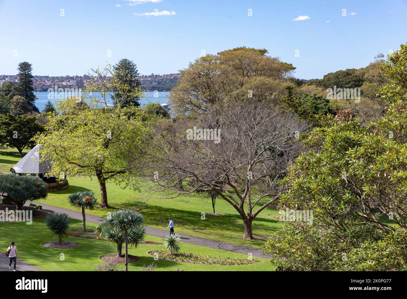 Royal Botanic Garden a Sydney in un giorno di primavera nel 2022, porto di Sydney in lontananza, NSW, Australia Foto Stock