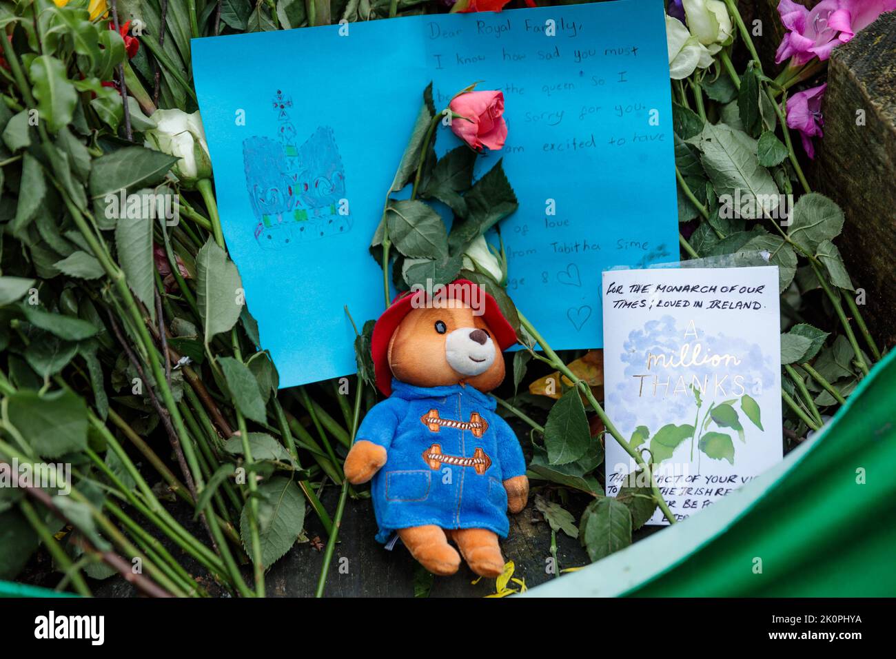 Pigiama Bambino Pigiama Orso Paddington Per Bambini Taglia 3-4