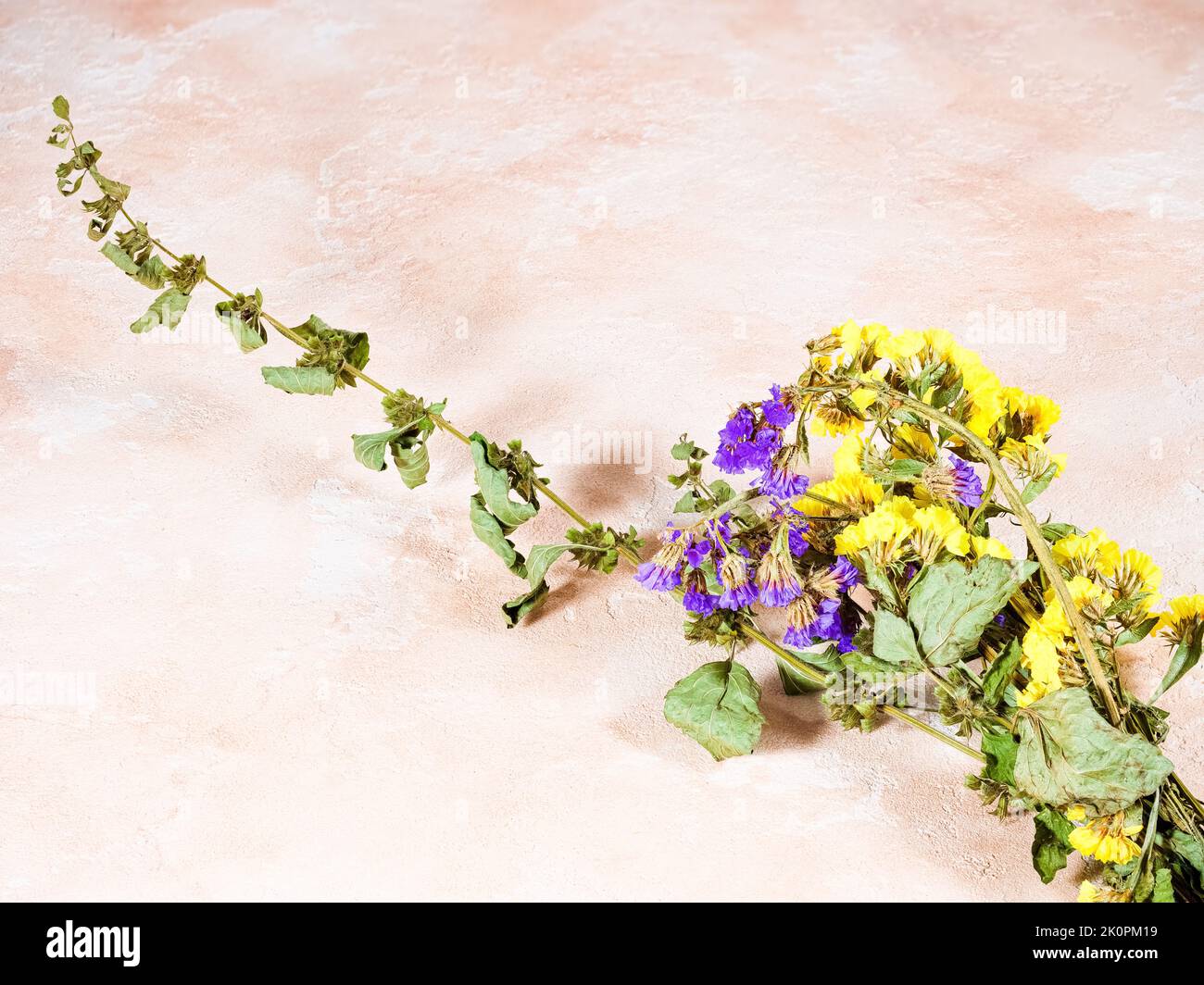 Bellissimi rametti di fiori selvatici secchi gialli e viola Foto Stock