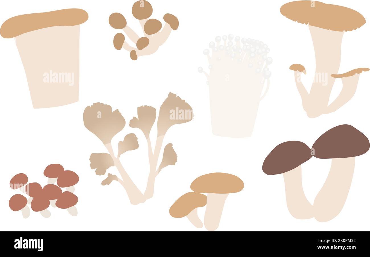 Gusto autunnale, semplice illustrazione dei funghi: Matsutake, Maitake, Shiitake e altre illustrazioni vettoriali set Illustrazione Vettoriale