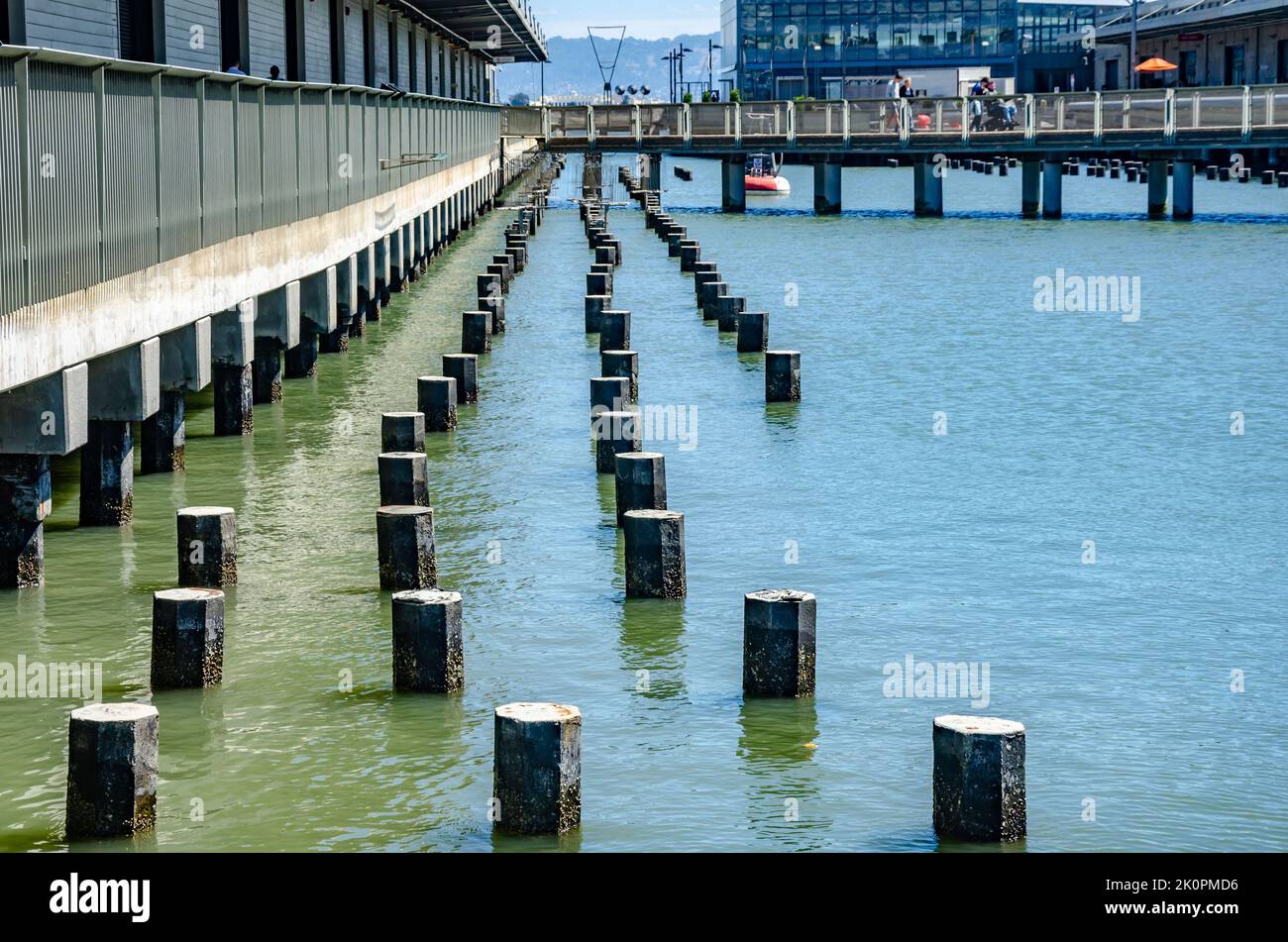 File di pali bassi accanto al Molo 17 nell'acqua a San Francisco, California. Foto Stock