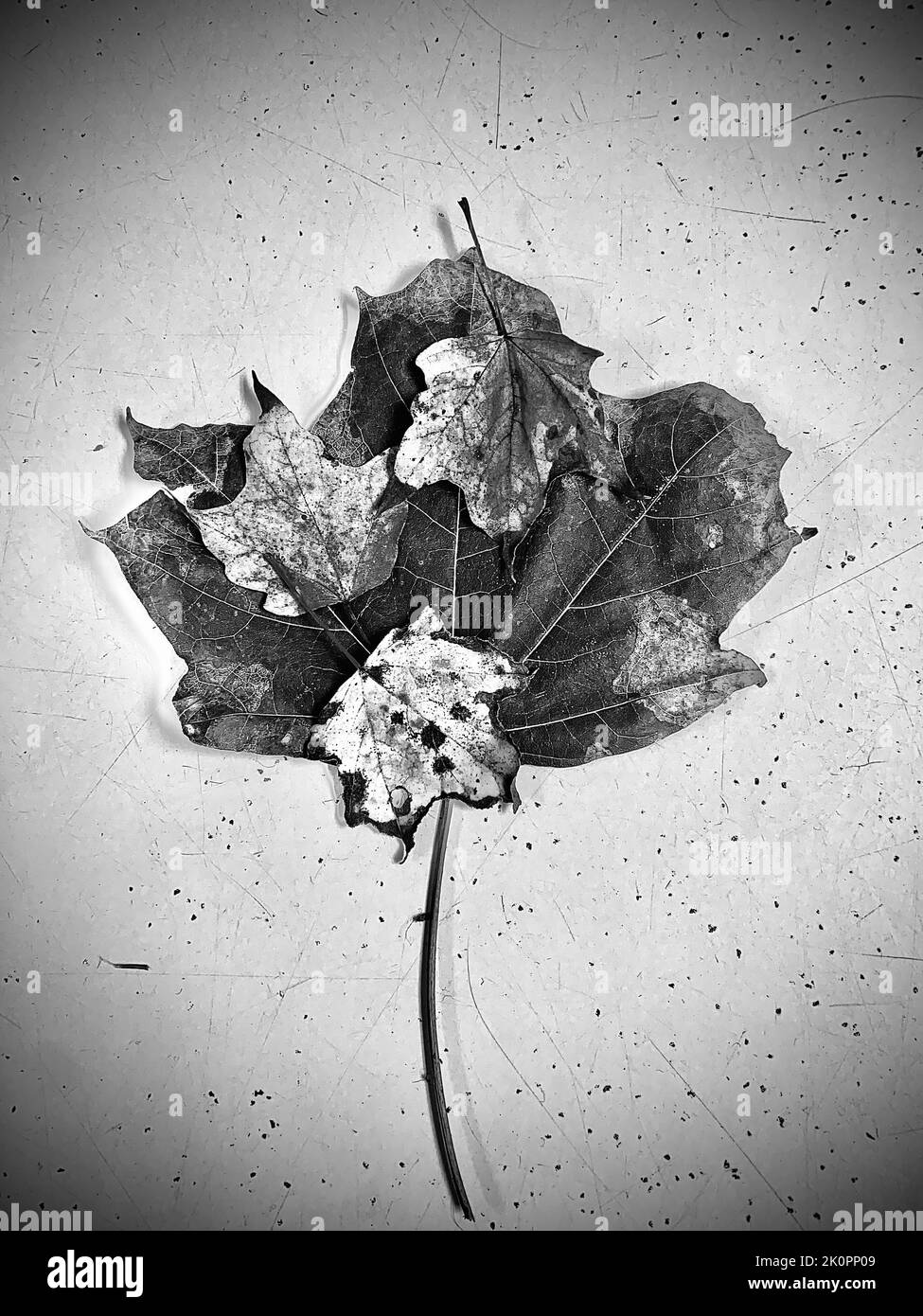 Uno shot verticale in scala di grigi di diverse lamine l'una sopra l'altra Foto Stock