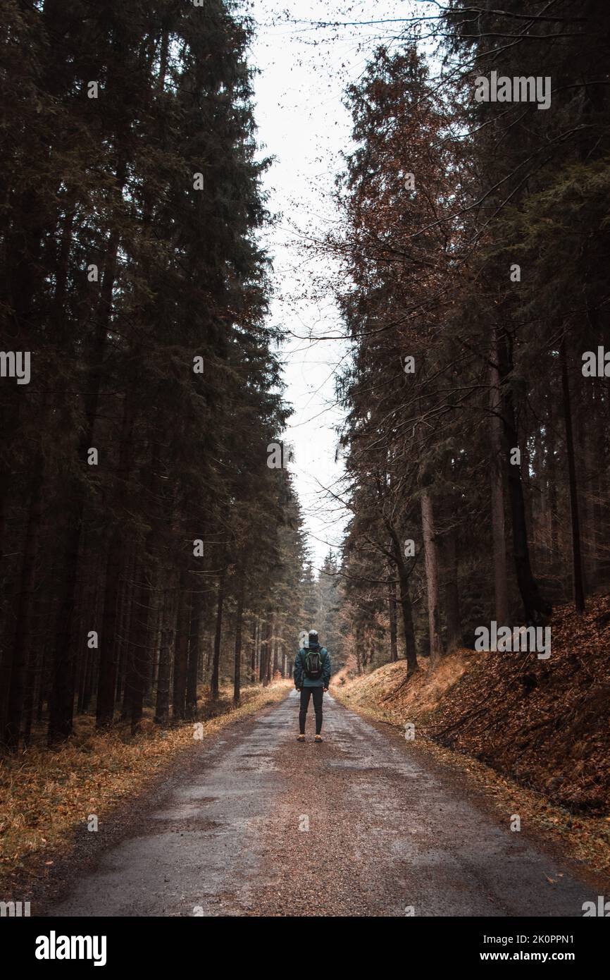 Camminando nella foresta di abeti oscurati lungo il vecchio vialetto, l'uomo guarda in alto e si rende conto di quanto piccolo ed effimero sia paragonato a questo deserto. Foto Stock