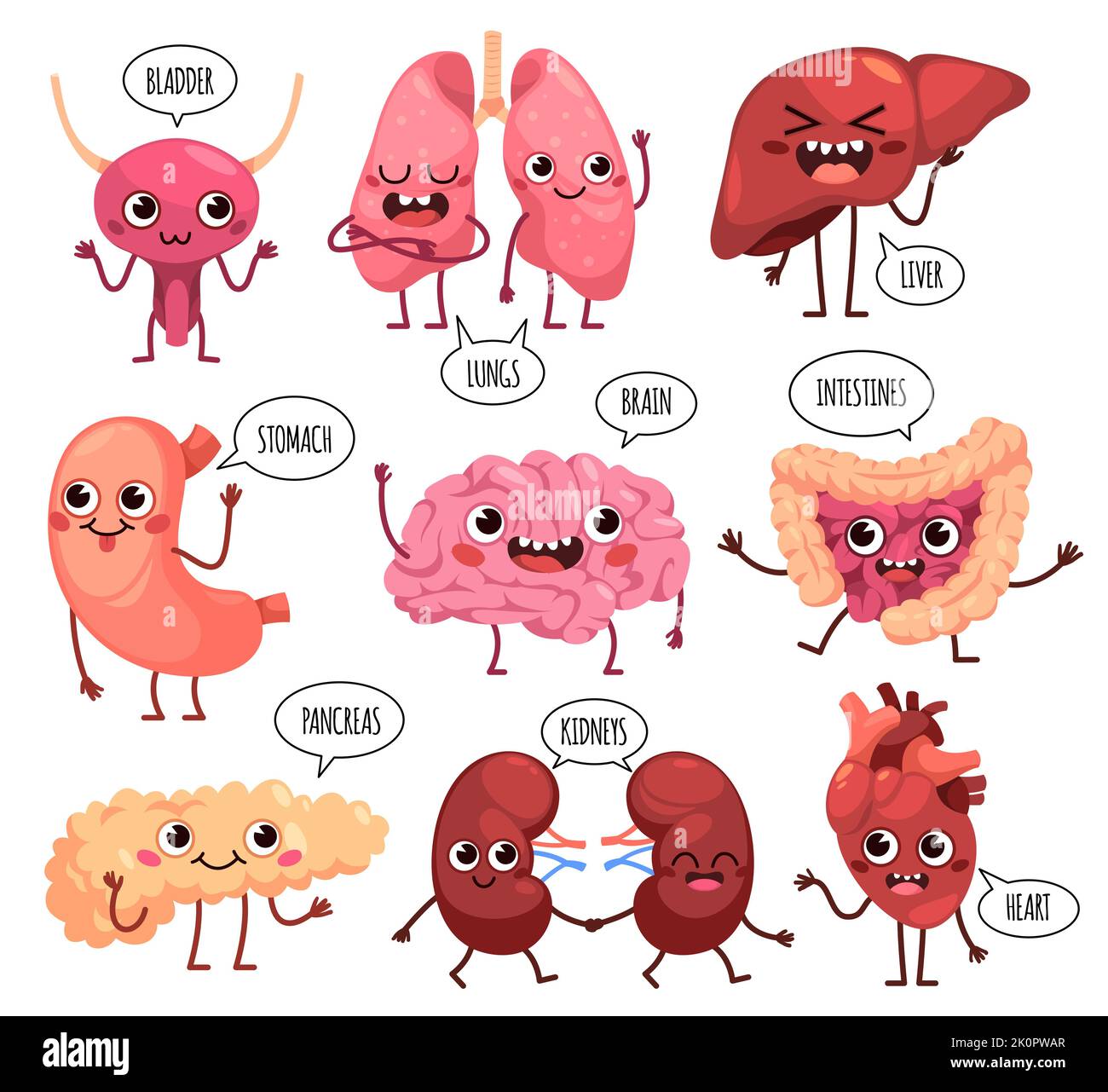Poster Anatomia del corpo umano - Cervello, polmoni, cuore, fegato,  intestino 