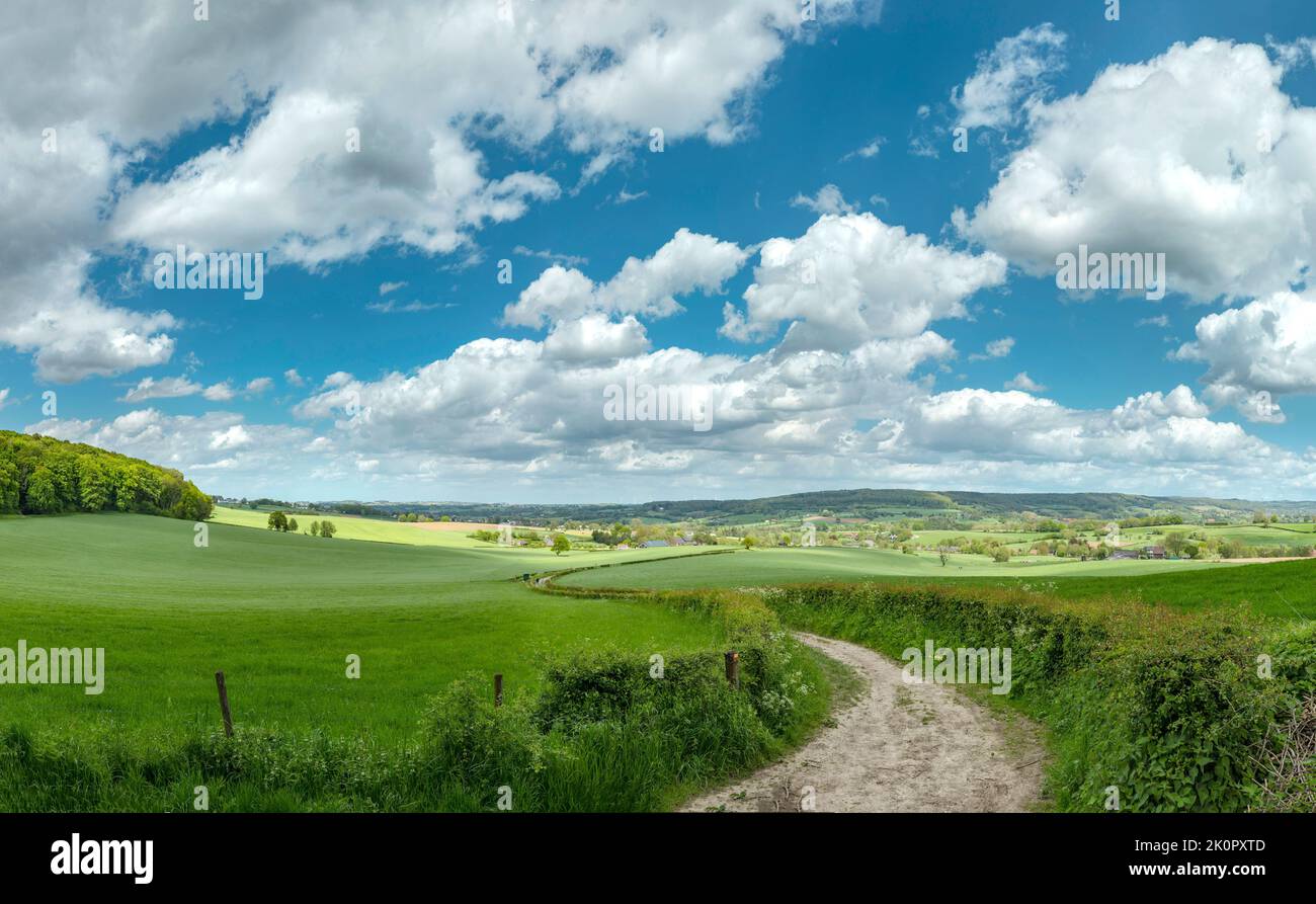 Campagna collinare, Sippenaeken, Limburgo, Paesi Bassi, paesaggio, campo, prato, alberi, primavera, montagne, Colline, *** Caption locale *** Paesi Bassi Foto Stock