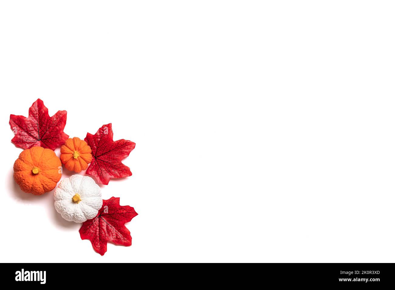 Autunno bouquet di acorns, bacche, foglie di acero, zucche isolato su sfondo bianco piatto Lay Top view Floral Border Holiday card Ciao settembre, ottobre, novembre concetto. Foto Stock