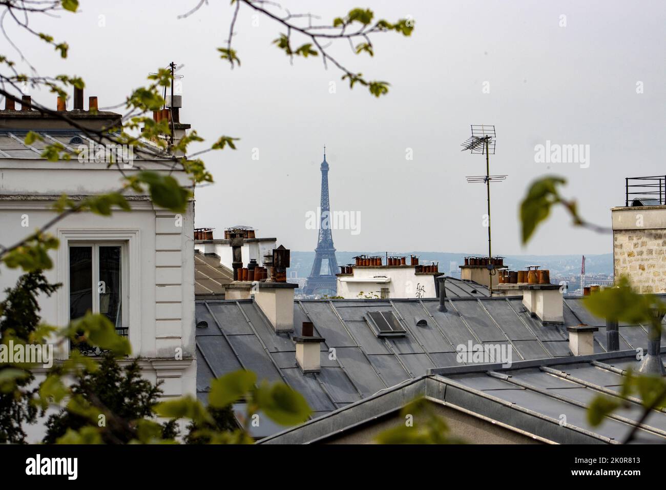La Torre Eiffel dietro i tetti di Parigi Foto Stock