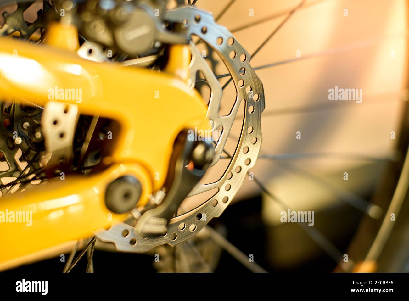 freno a disco posteriore di una mountain bike Foto Stock