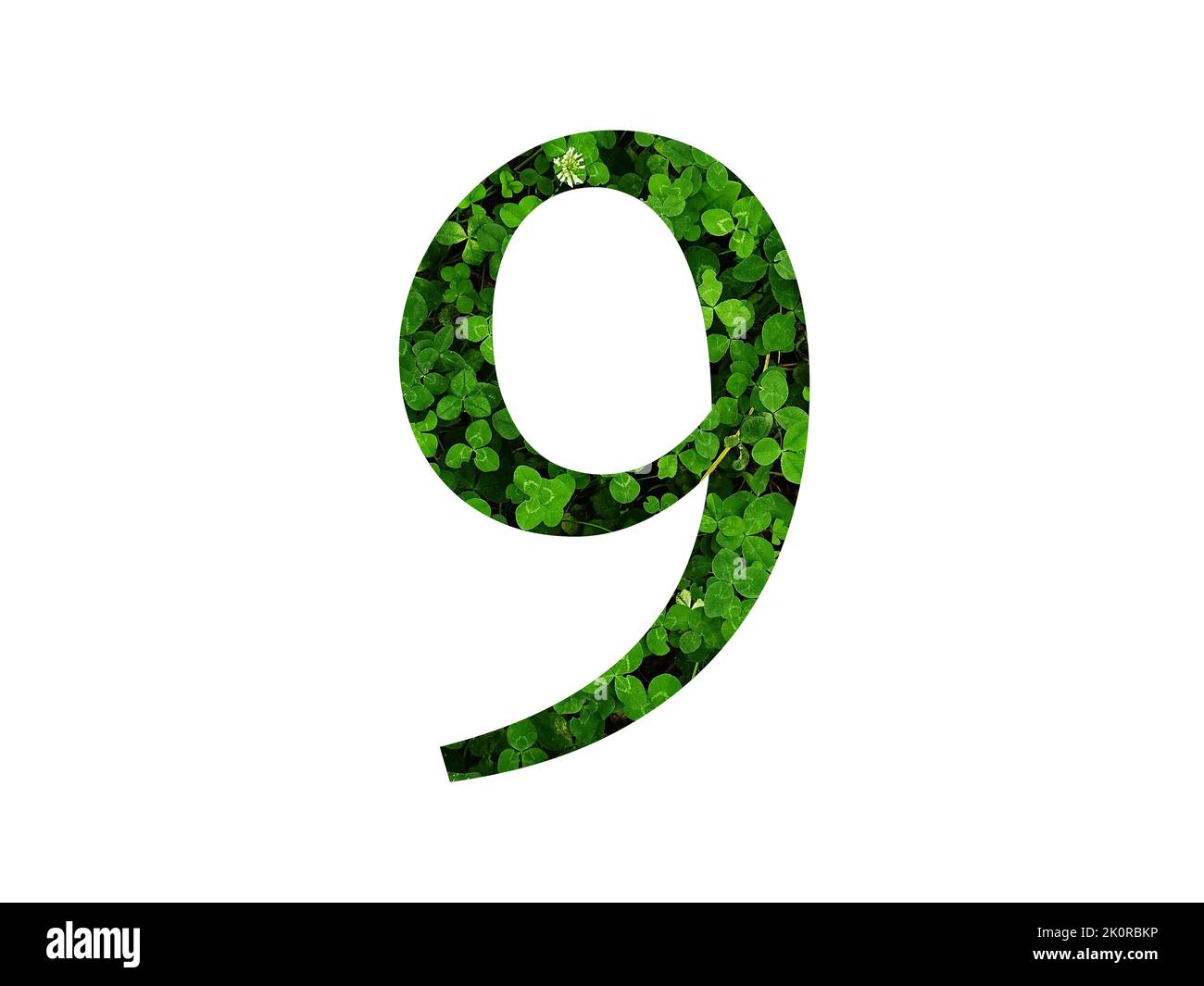 numero 9 dell'alfabeto fatto con foglia verde di un campo di trifoglio. fatto con colore verde Foto Stock