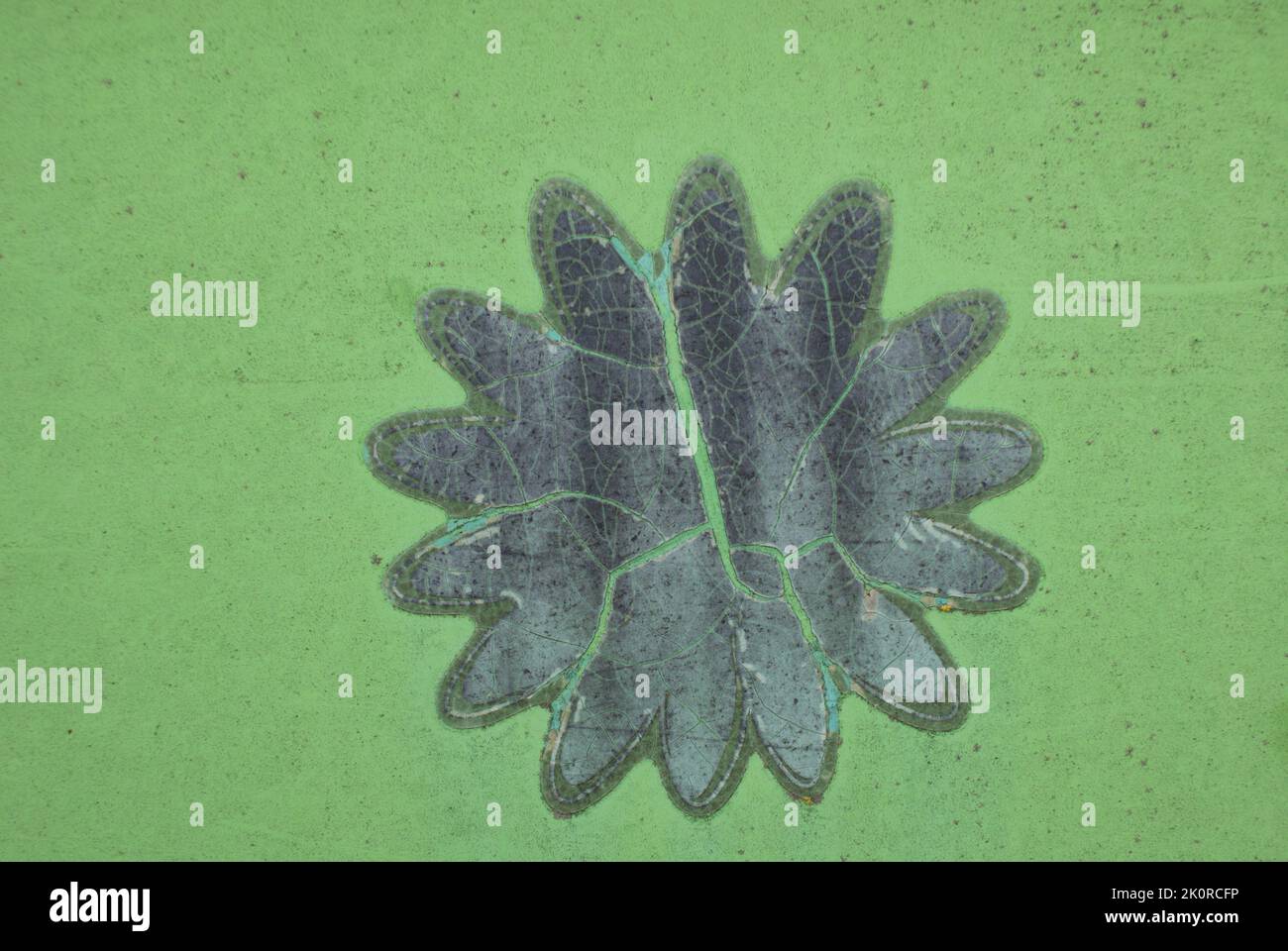 MATERIALE. TRAMA Foto Stock