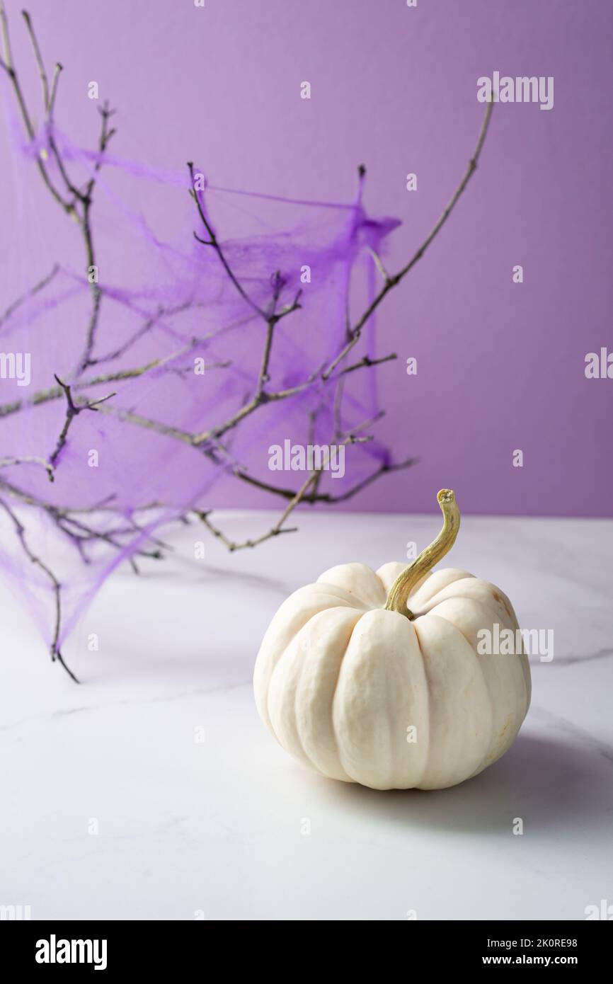 Zucca bianca e ramo con spiderweb Halloween festa Foto Stock