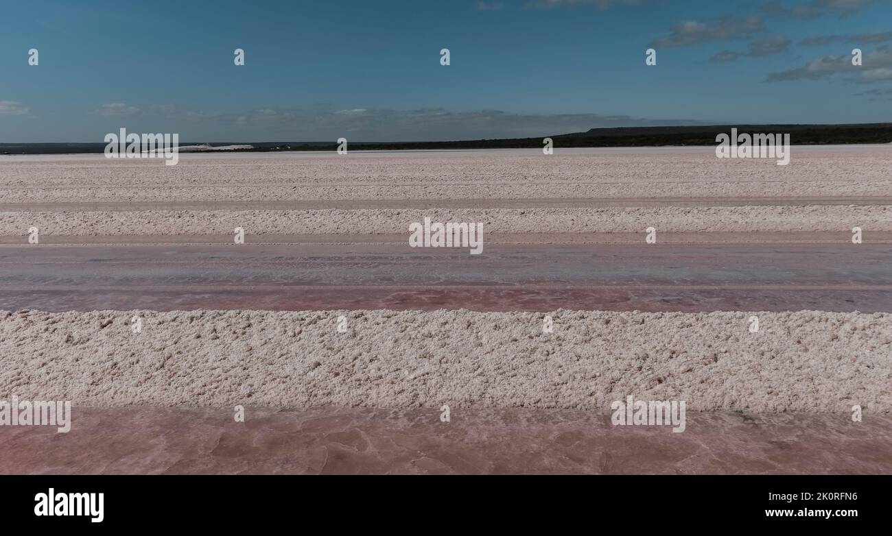 Foglie autunnali, Pampas , Patagonia, Argentina. Foto Stock