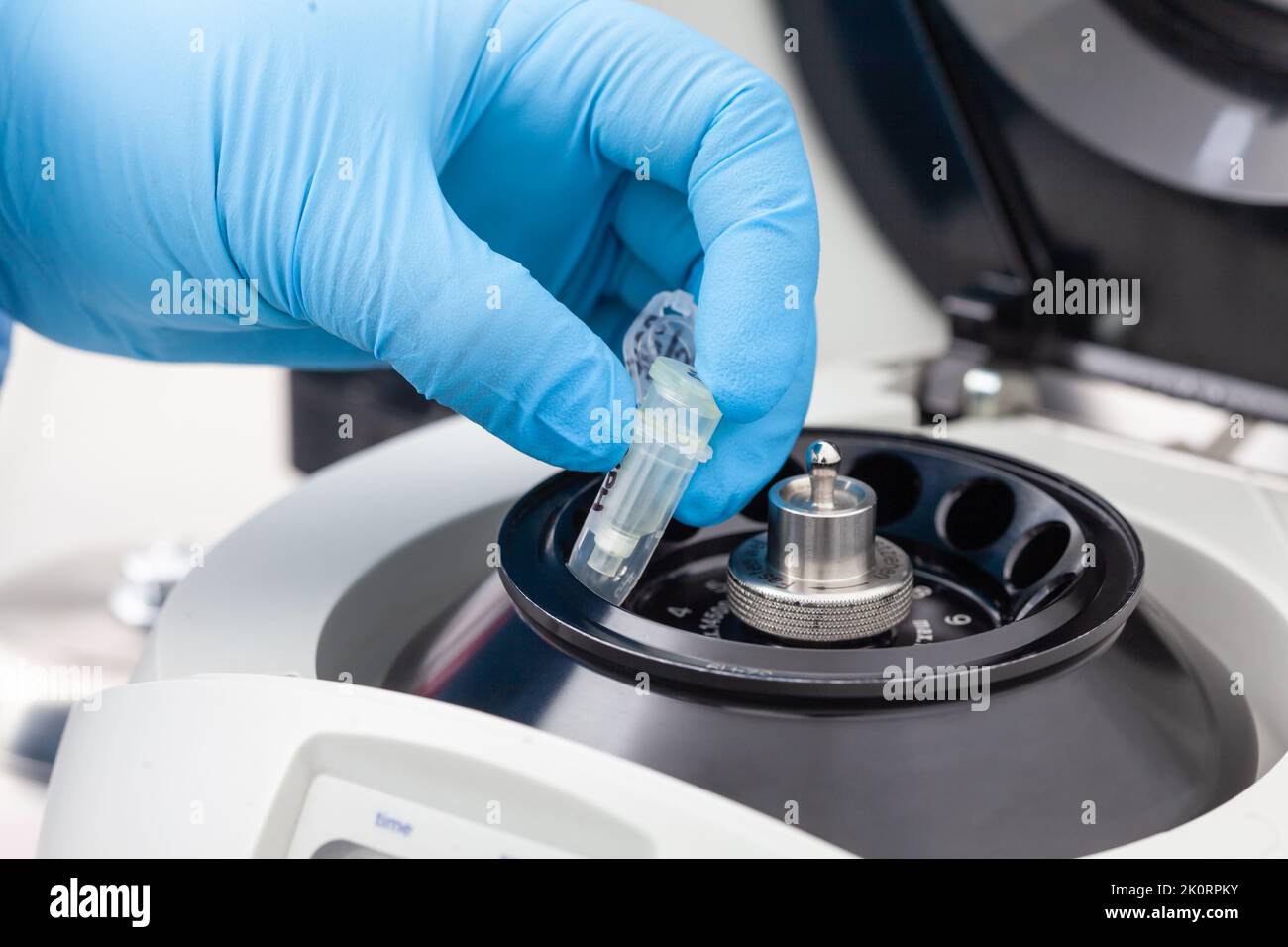 Primo piano di una mano di scienziato che colloca una provetta in una piccola centrifuga da tavolo. Tecnica di purificazione degli acidi nucleici basata su colonna di centrifugazione. Diagnosi di p. Umano Foto Stock