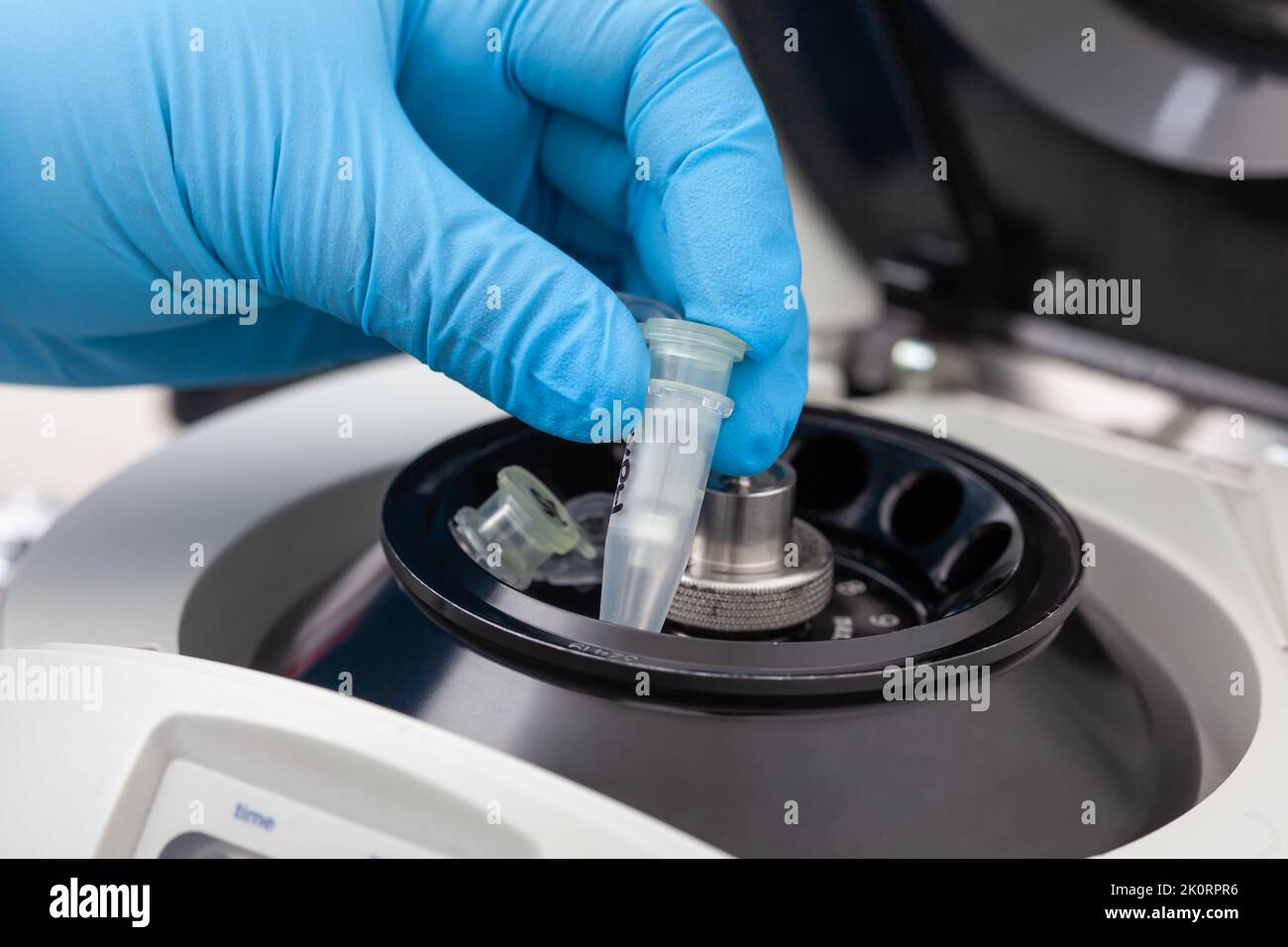 Primo piano di una mano di scienziato che colloca una provetta in una piccola centrifuga da tavolo. Tecnica di purificazione degli acidi nucleici basata su colonna di centrifugazione. Diagnosi di p. Umano Foto Stock