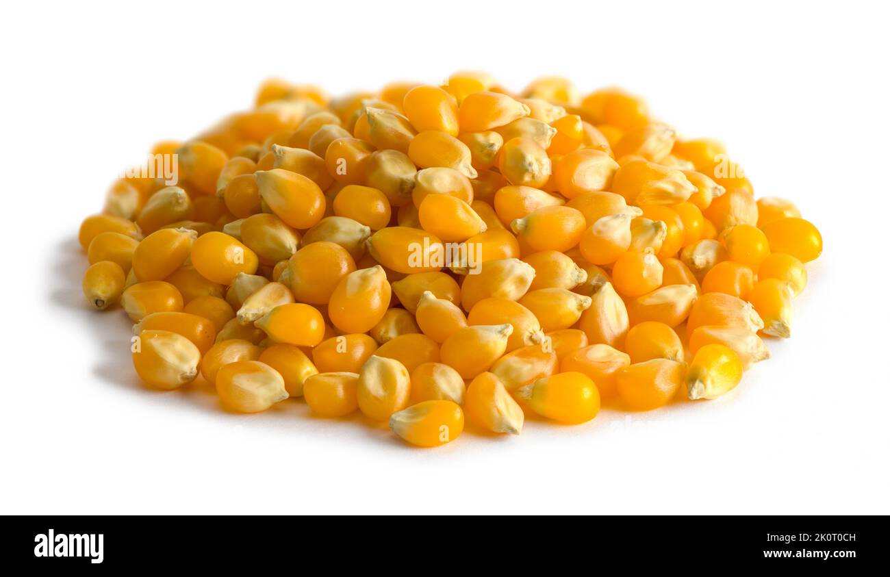 Piile di semi di popcorn piccolo tagliato fuori su bianco. Foto Stock