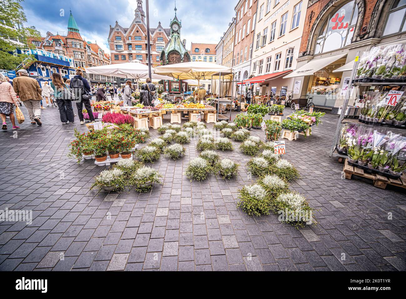 Mercato dei fiori a Kultorvet nel centro di Copenaghen, Danimarca Foto Stock