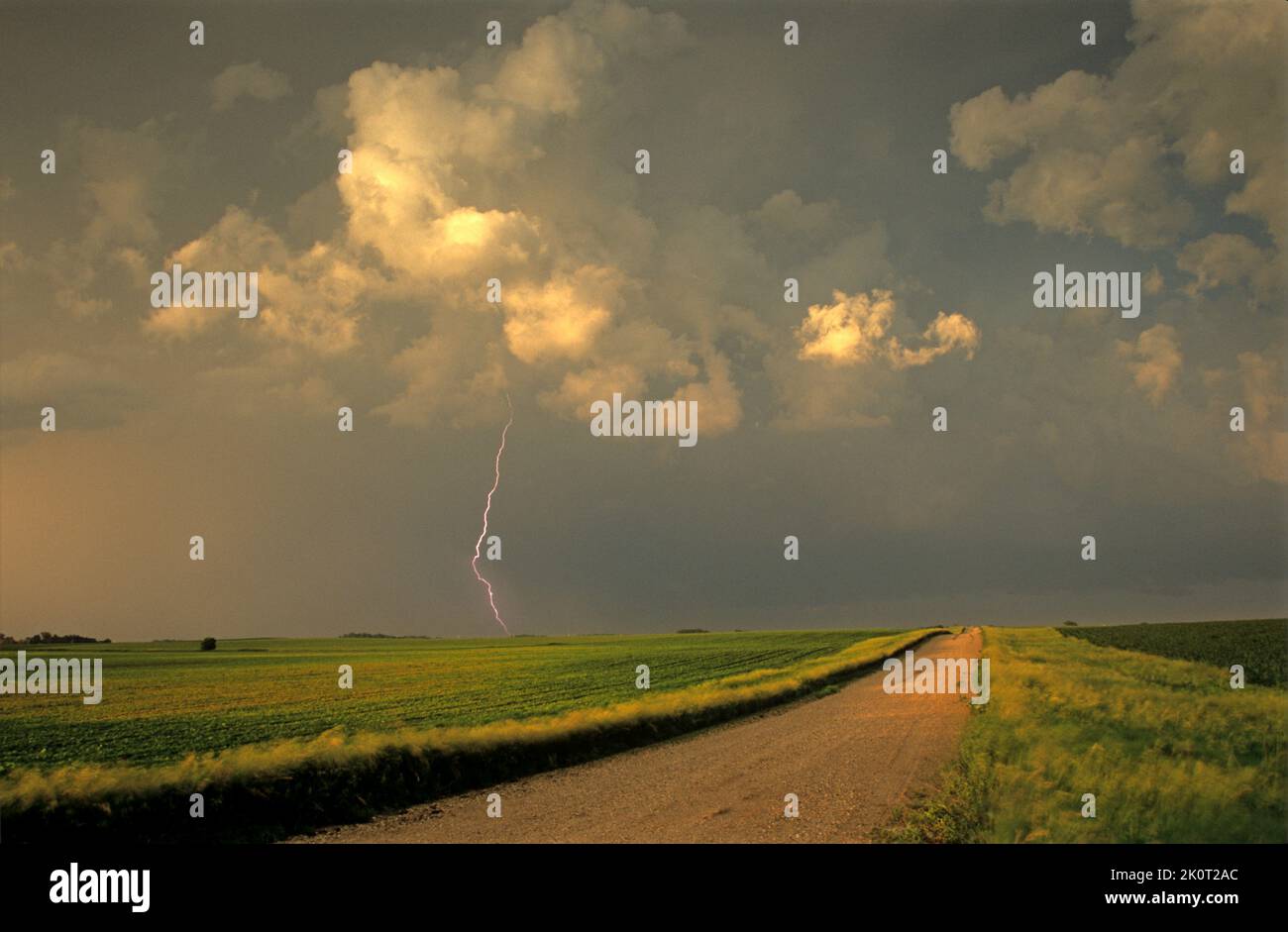 Un fulmine alla fine di una strada sterrata in South Dakota, USA Foto Stock
