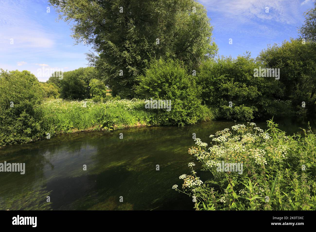 Vista sul fiume Itchen nella riserva naturale di Winnall Moors, Winchester City, Hampshire County; Inghilterra; Gran Bretagna, REGNO UNITO Foto Stock