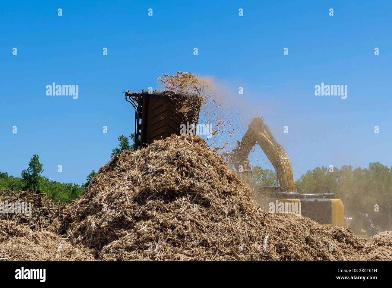 Come parte della preparazione per uno sviluppo di alloggiamento, una macchina di triturazione è usata per sminuzzare le radici degli alberi in trucioli con un industriale Foto Stock