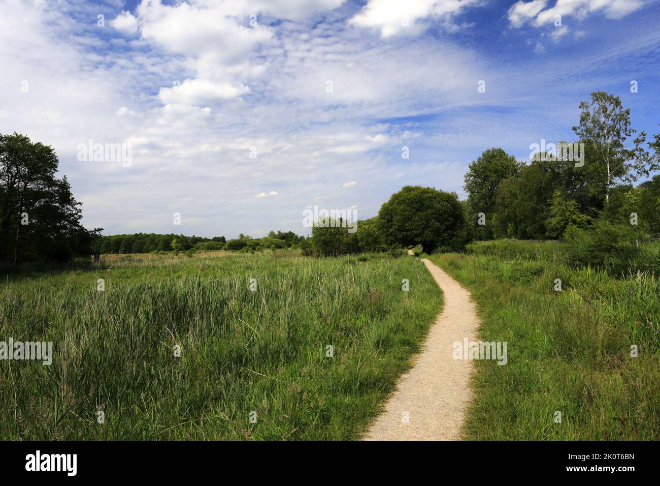 Vista sulla riserva naturale di Winnall Moors, Winchester City, Hampshire County; Inghilterra; Gran Bretagna, REGNO UNITO Foto Stock