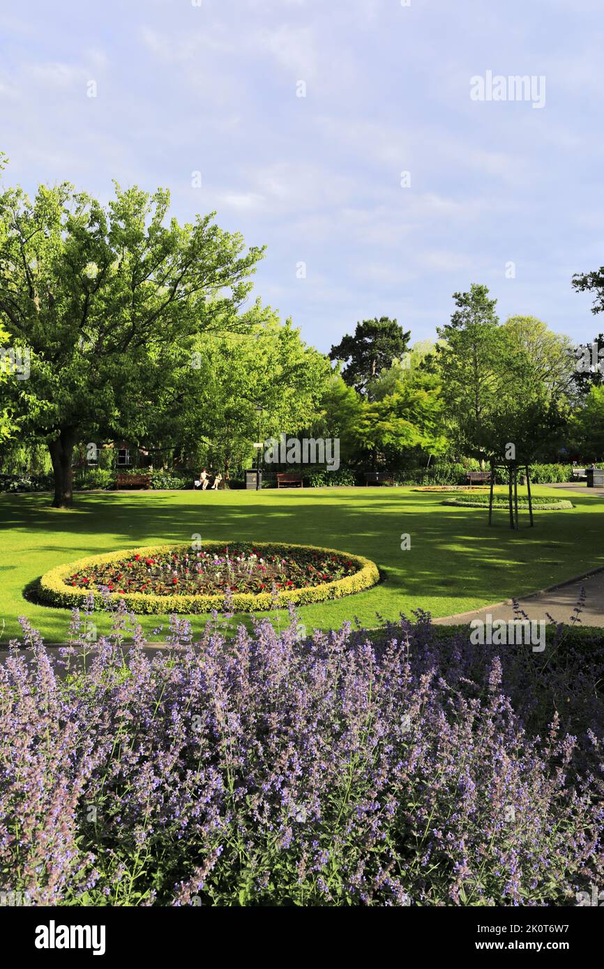 Vista sui giardini Abbey, Winchester City, Hampshire County; Inghilterra; Regno Unito Foto Stock