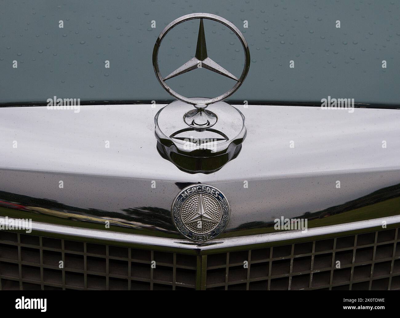 Cofano auto Mercedes, radiatore, Badge e Mascot Foto Stock