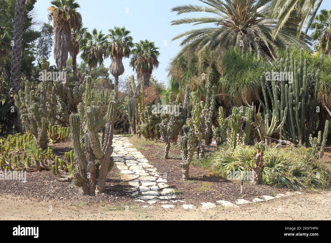 TEL AVIV, ISRAELE - 19 SETTEMBRE 2017: È il Giardino delle Cactus nel Parco di Yarkon. Foto Stock