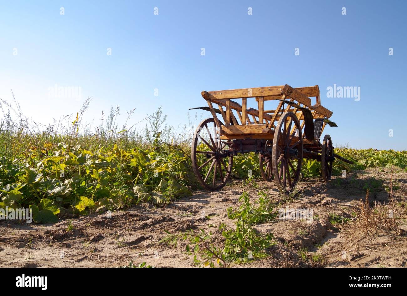 Vecchio veicolo trainato da cavalli su un campo agricolo. Vecchio carro agricolo o carro in legno e metallo. Foto Stock