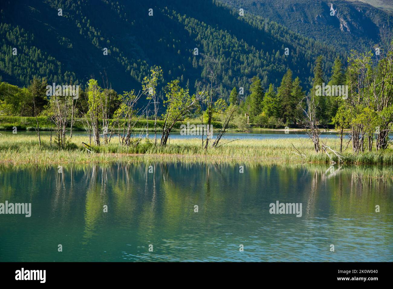 Die renaturierte Auenlandschaft des Inn bei Samedan und Bever im Engadin, Schweiz Foto Stock