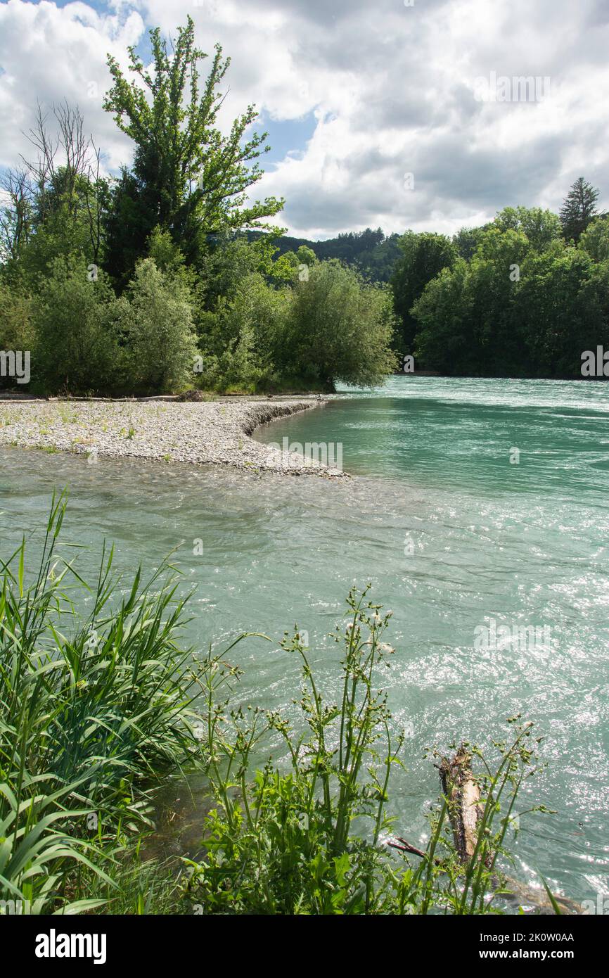 Die rentaurierte Aare zwischen Münsingen und Bern, ein Smaragd-Naturschutzgebiet und Aue von Nationaler Bedeutung Foto Stock