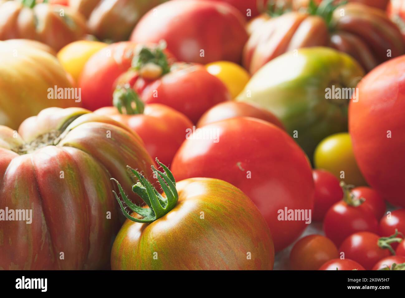 Varietà di pomodori multicolori biologici non trattati primo piano Foto Stock