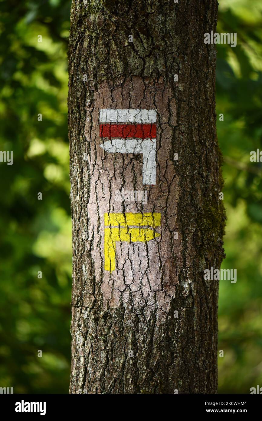 Segni di un sentiero GR (rosso e bianco) e di un sentiero PR (giallo) isolato su un tronco in una foresta. Foto Stock