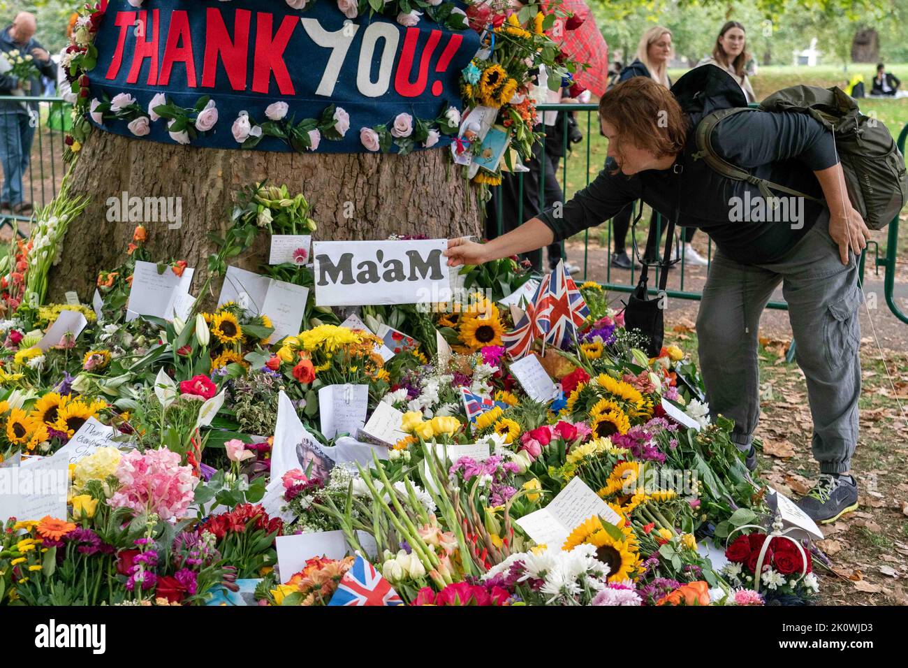 @Jeff Moore i membri del pubblico si riuniscono per deporre fiori nel parco verde vicino a Buckingham Palace oggi dopo la morte di sua Maestà la Regina Eliz Foto Stock
