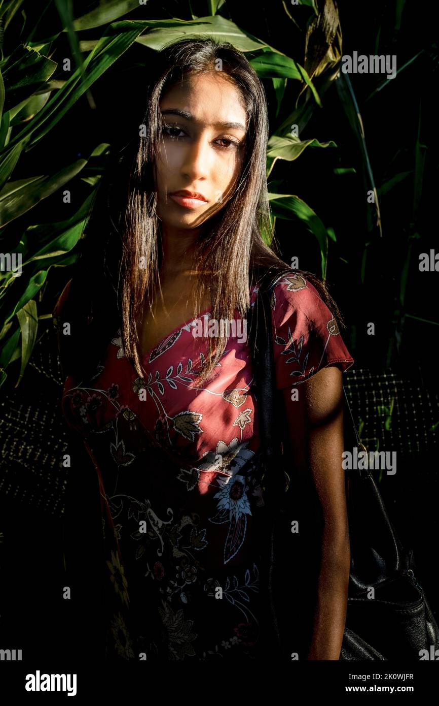 Ritratto di festa di Autunno di una giovane donna asiatica in un labirinto di mais Foto Stock