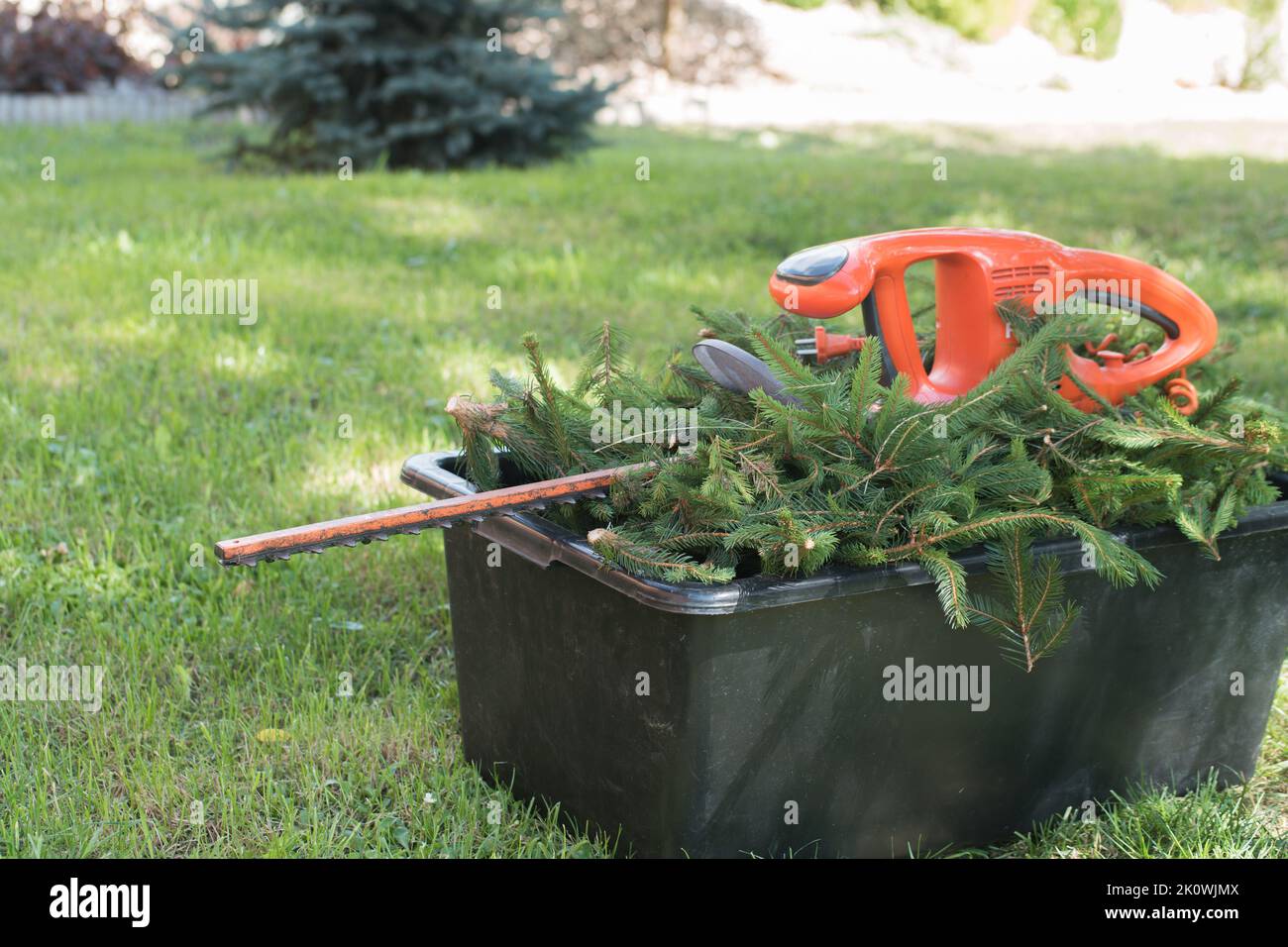 Tagliasiepi elettrico su un mucchio di rami di abete rosso rifiniti. Condire in giardino con rifilare e tagliare siepi, alberi. Giardinaggio nel cortile. Foto Stock