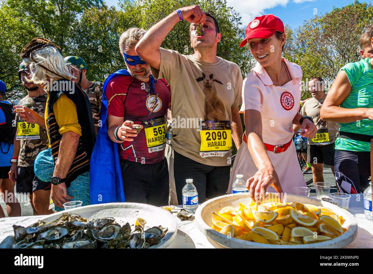 Lo stand di ostriche al 36° Marathon des Châteaux du Médoc è affollato. Le ostriche sono preparate per i corridori da ingoiare direttamente dalla conchiglia, perfettamente condite con qualche goccia di limone e vino bianco. Un corridore indossa un costume da supereroe Flash, e un altro è vestito in stile Baywatch con un berretto rosso. Pauillac, Francia. Foto Stock