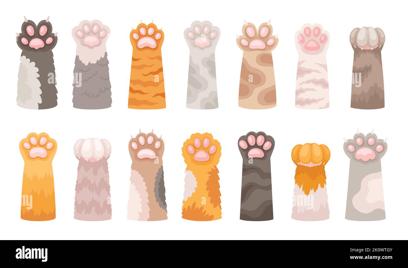Set di carine zampe di gatto Illustrazione Vettoriale