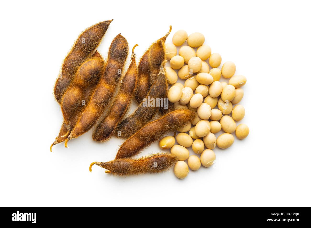 Semi di soia. Baccello di soia essiccato isolato su sfondo bianco. Foto Stock
