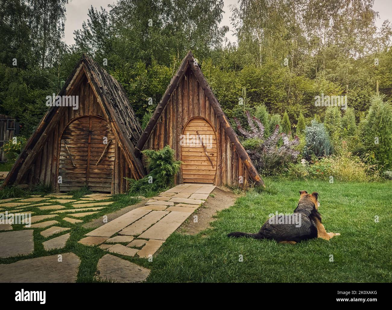 Il cane fedele guarda la casa guardando intorno come sdraiato nel cortile. Concetto fedele dell'animale domestico. Sfondo di campagna Foto Stock