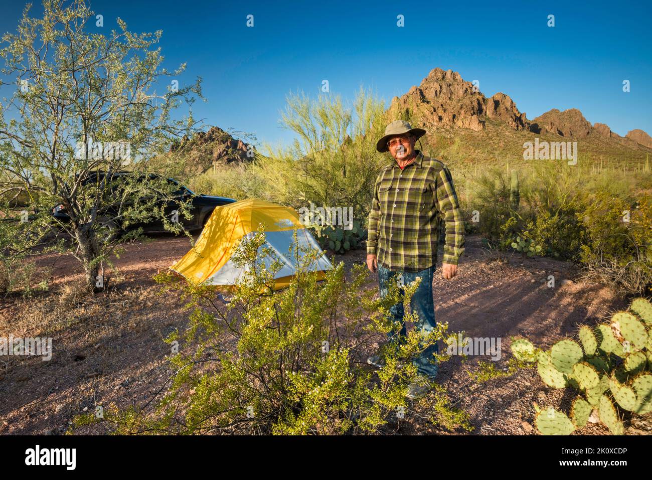 Camper presso il campeggio vicino alla montagna Ragged Top, cespuglio creosoto di fronte, Silver Bell Mtns, Sonoran Desert, Ironwood Forest National Monument, Arizona, Stati Uniti Foto Stock