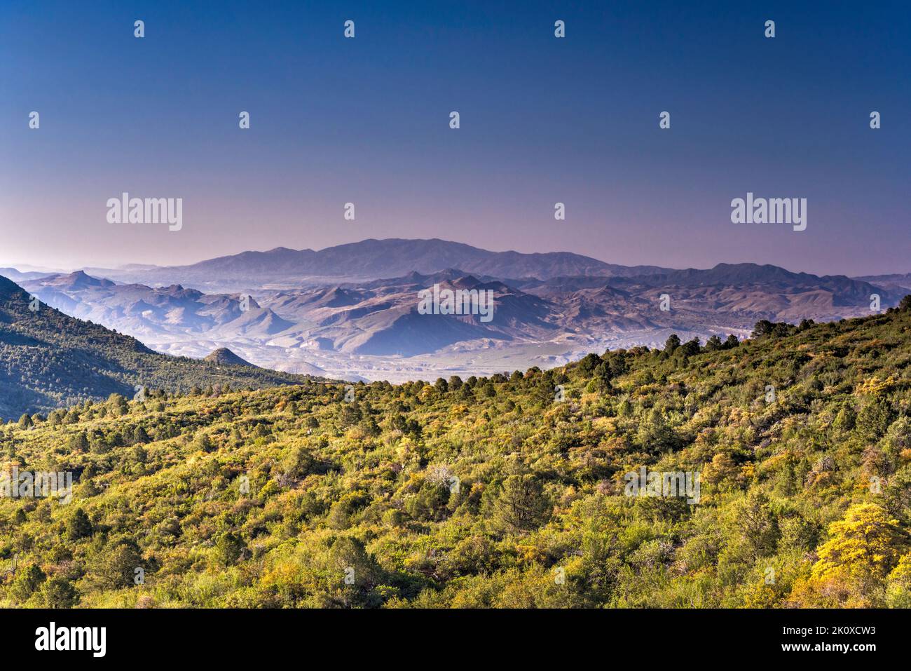 Pinal Mountains in lontananza, all'alba, vista dalla AZ-288 (Globe-Young Highway), Sierra Ancha, Tonto National Forest, Arizona, USA Foto Stock