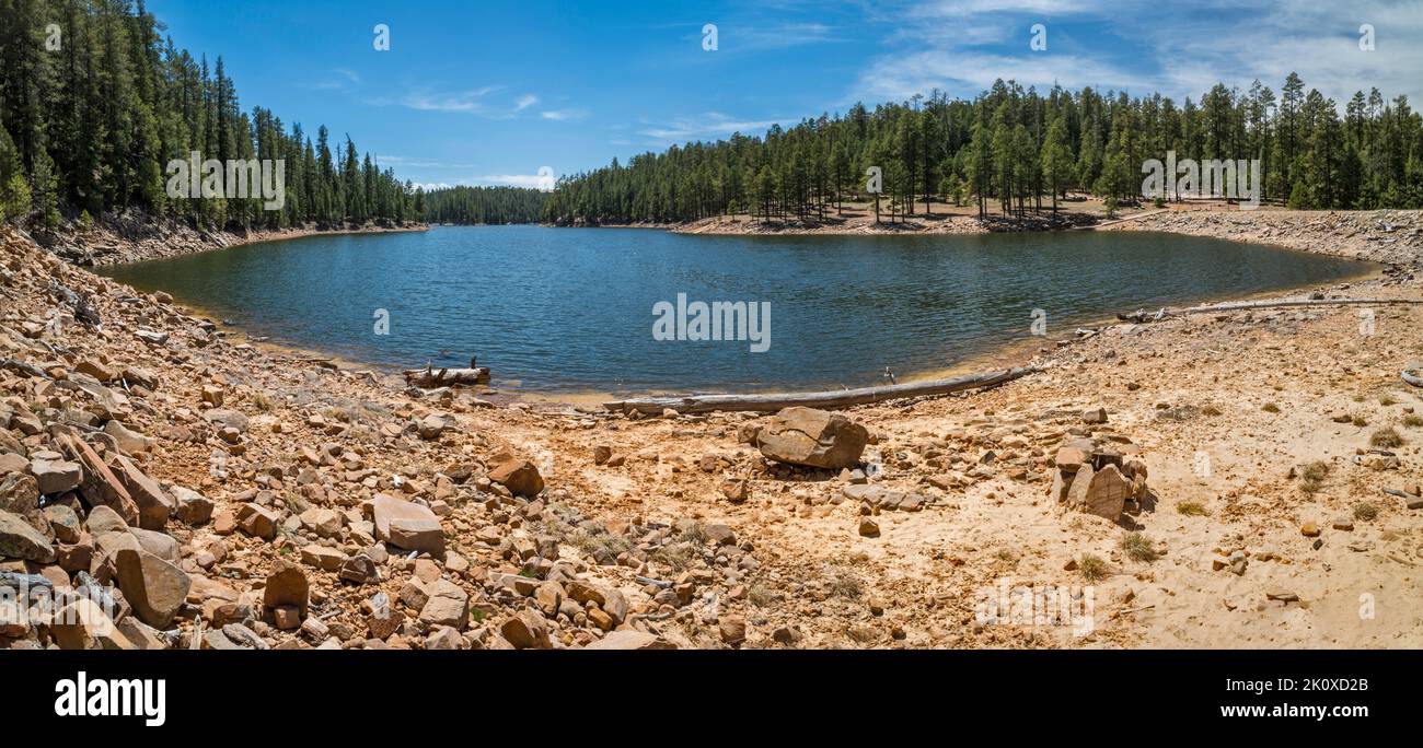 Lago Knoll, zona del Mogollon Rim, Colorado Plateau, Coconino National Forest, Arizona, STATI UNITI Foto Stock