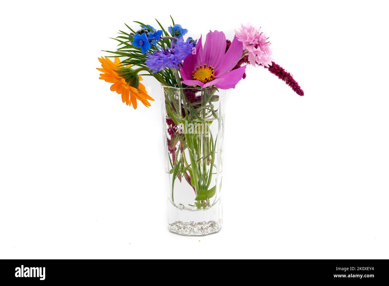 bouquet di fiori autunnali con vaso isolato su fondo bianco Foto Stock