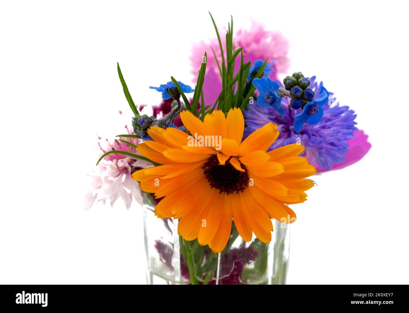 bouquet autunnale con vaso isolato Foto Stock
