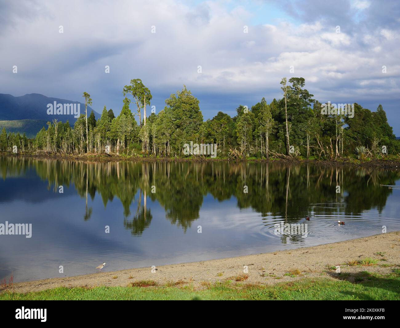 Specchio perfetto al lago brunner Foto Stock
