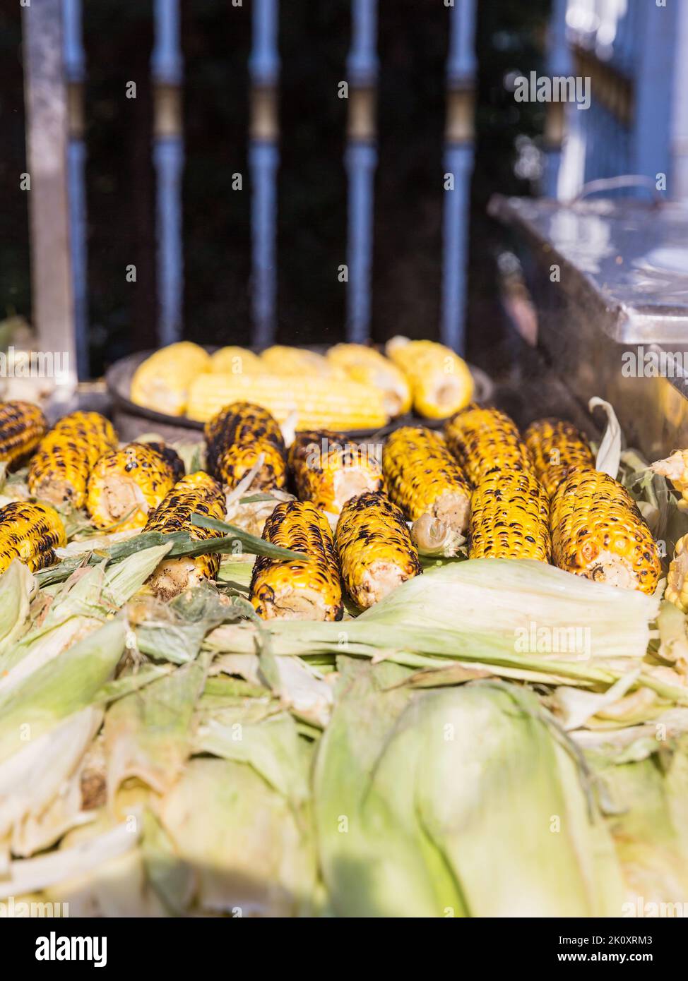 mais dolce alla griglia in vendita per strada. Street fast food Foto Stock