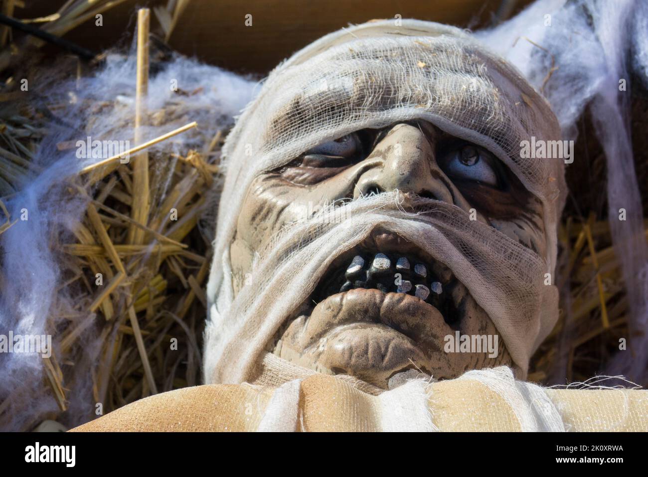 Zombie mask immagini e fotografie stock ad alta risoluzione - Alamy
