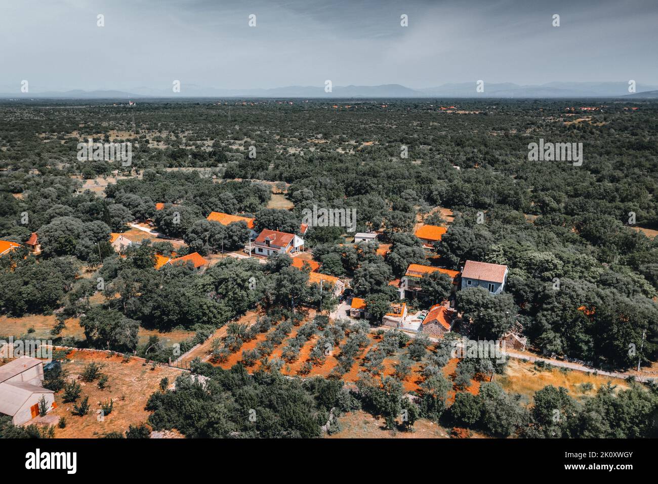 Vista aerea sul terreno agricolo croato e sul piccolo villaggio di Krka, Croazia. Agricoltura europea. Foto Stock
