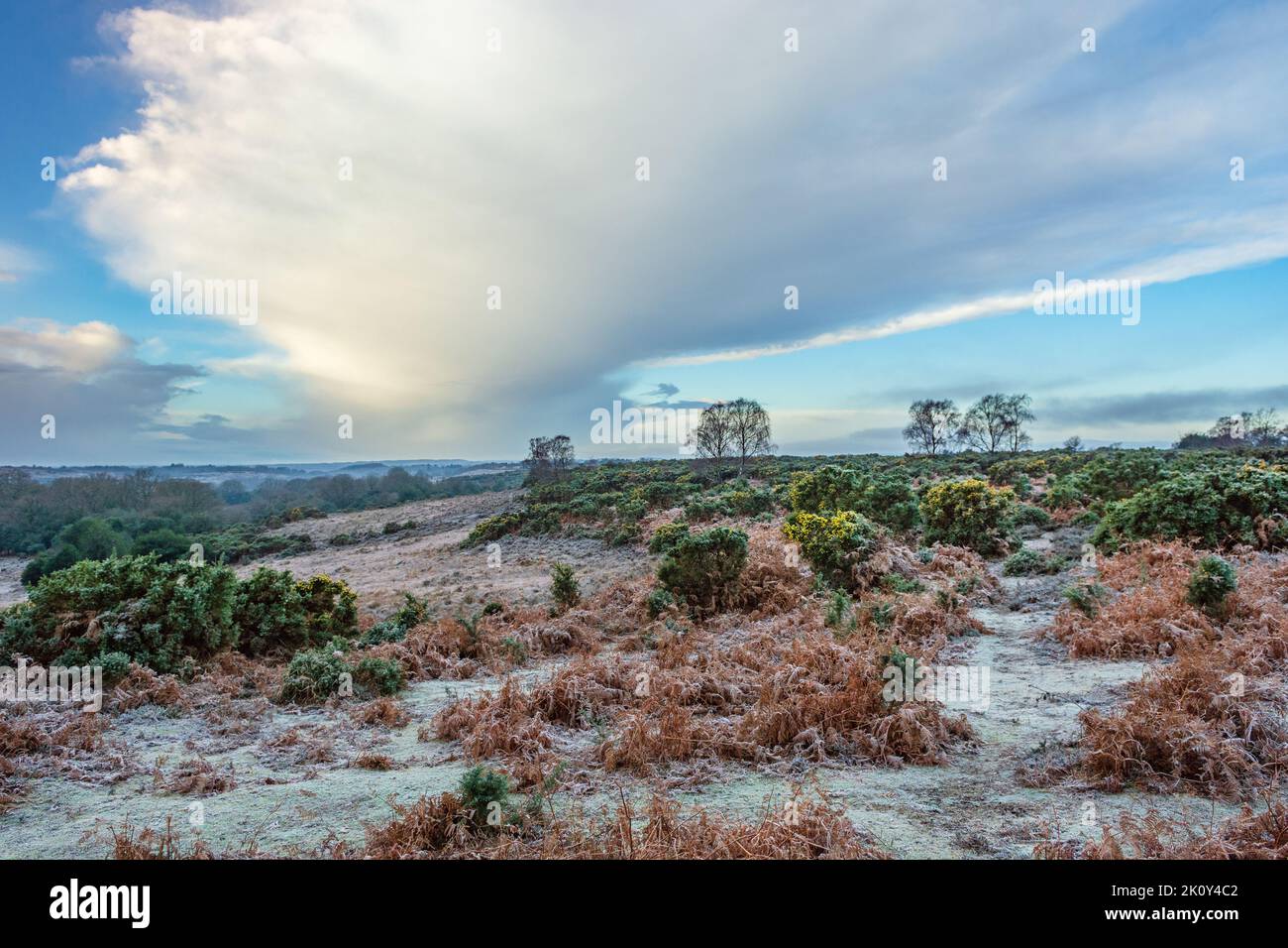 Paesaggio della New Forest con brina e grande nube di stratocumuli bianchi ad Ashley Range, Hampshire, Regno Unito Foto Stock